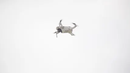 Vortex Casino Mobile App